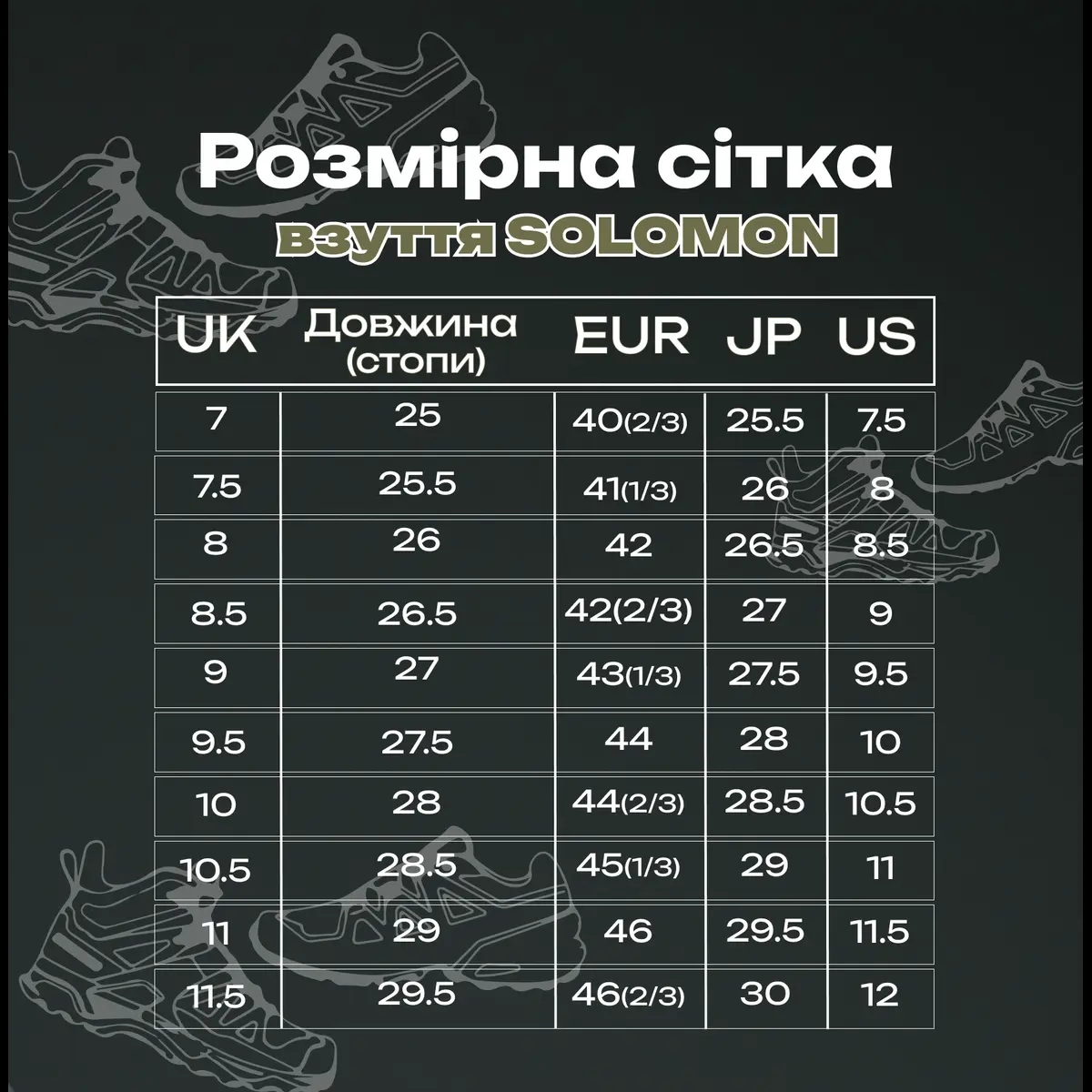 Розмірна сітка